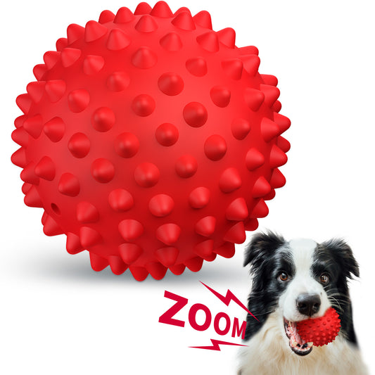 Apasiri Dog Squeaky Balls
