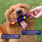 Apasiri Tough Dog Toys for Aggressive Chewers, Blue, Mint Flavor