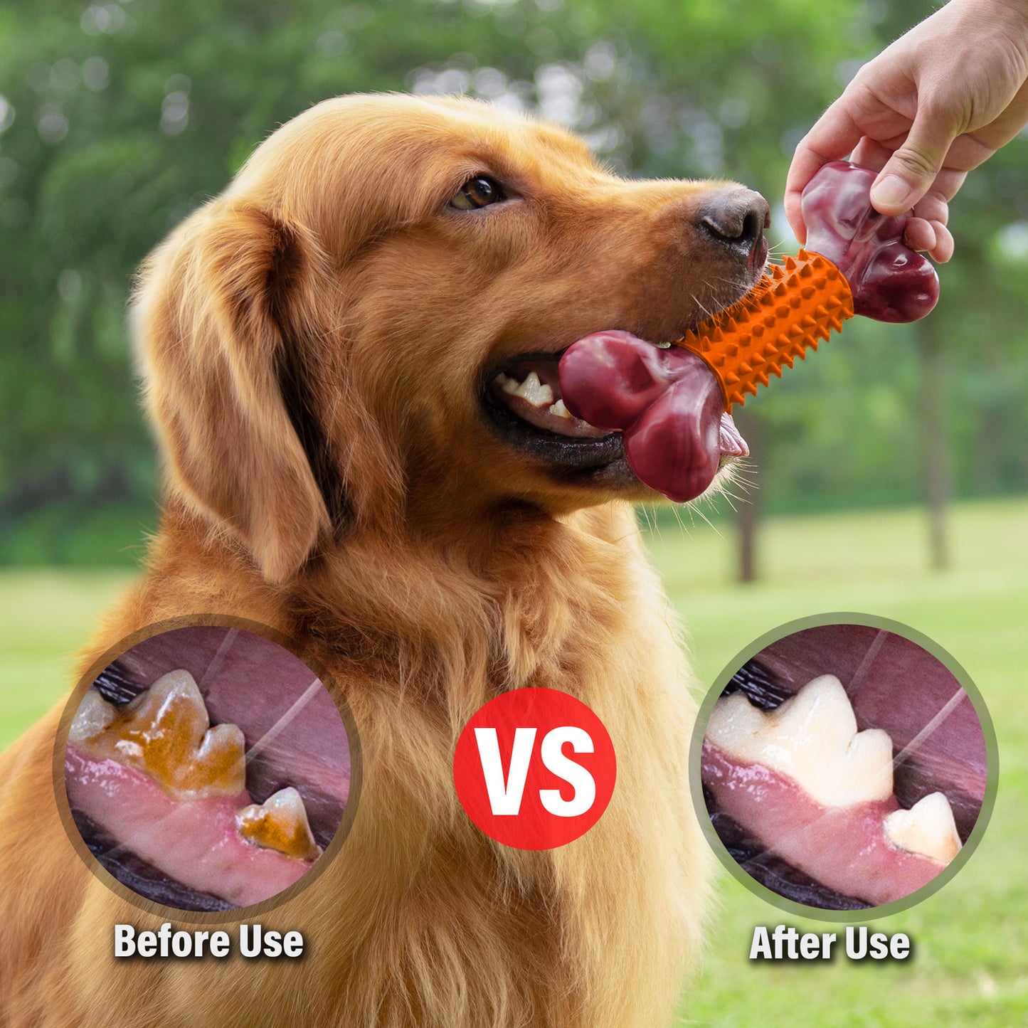 Apasiri Tough Dog Toys for Aggressive Chewers, Orange, Peanut Butter Flavor